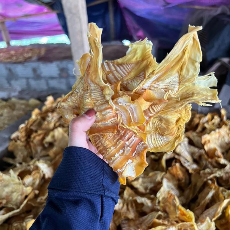 Măng Nứa Sấy Khô gói từ 500g đến 1kg Thức Ăn Food