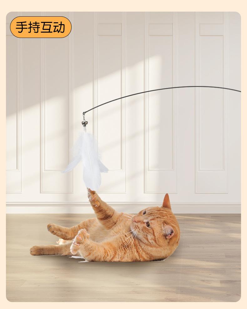 Product Introduction of 2025 Cat Toy Teaser Wand Suction Cup Long Rod Spring Rod Steel Wire Feather Self-Entertainment Cat Toy Pet Supplies 4