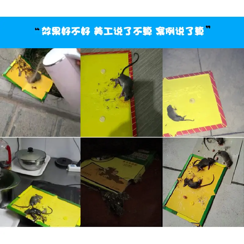 Bảng Chuột Dính, Siêu Chắc, Tăng Hiệu Quả Bắt Chuột, Thích Hợp Cho Nhà Bếp Và Phòng Ngủ, Bao Gồm Bảng Và Miếng Dán Chuột, Hiệu Quả Trong Bắt Chuột, Chất Kết Dính bẫy kẹp bẫy  hoa 5