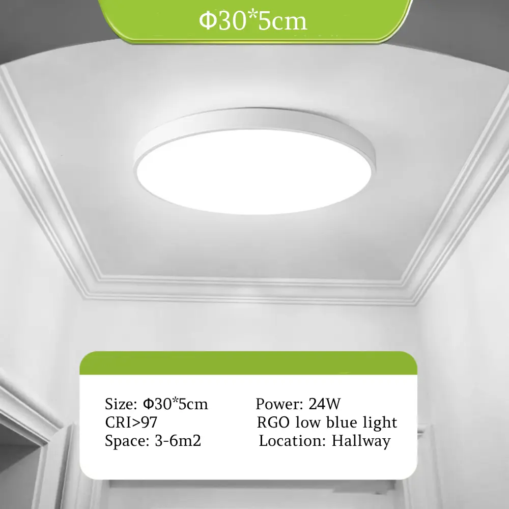 Hallway traditional simple style ultra-thin full spectrum eye protection LED ceiling lamp-Φ30*5cm-24W