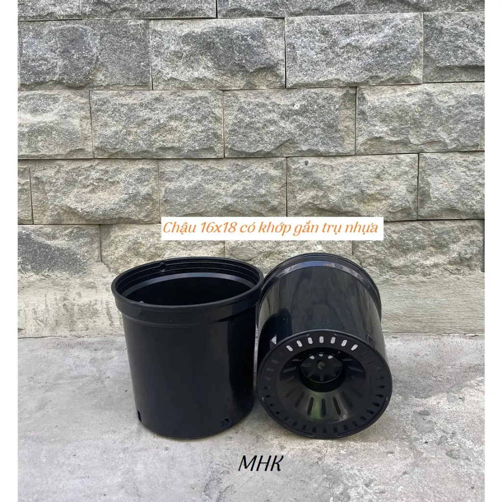 Chậu nhựa cứng 16x18 (cm) ĐEN / TRONG SUỐT - Chậu Thakico trồng cây thoát nước tốt