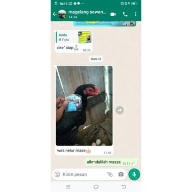 Sekartaji Jamu Nafsu Makan Ayam Dan Cacingan 7