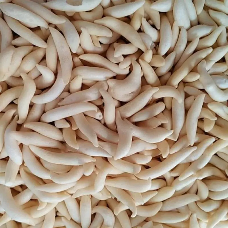 (500gr) gabus keju kiloan