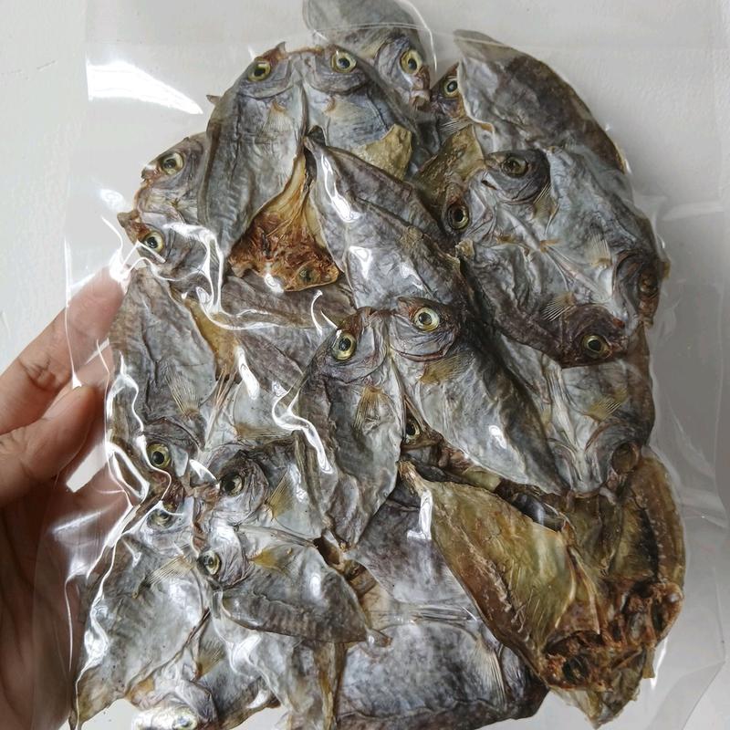 Unsalted Danggit from Bantayan 100g - TikTok Shop Philippines