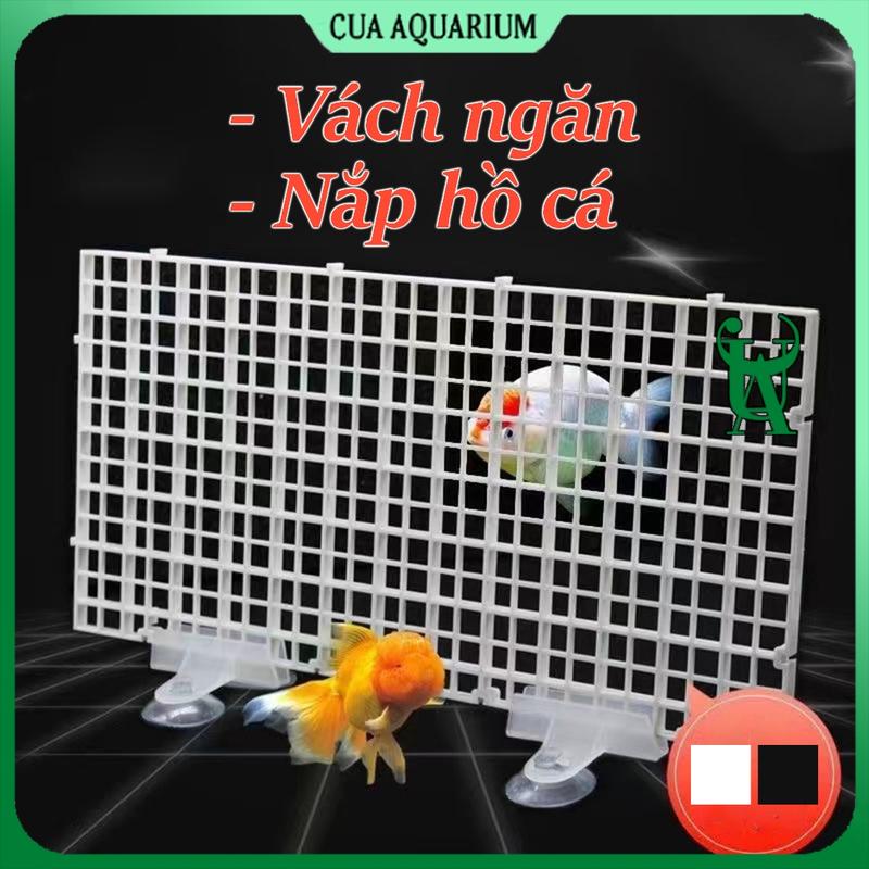 Tấm vách ngăn bể cá | Nắp đậy hồ cá bằng nhựa