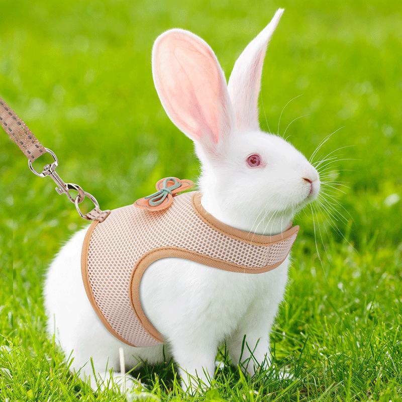 Rabbit Harness Harness Dutch Pig Rabbit Rope Small Pet Harness - TikTok ...