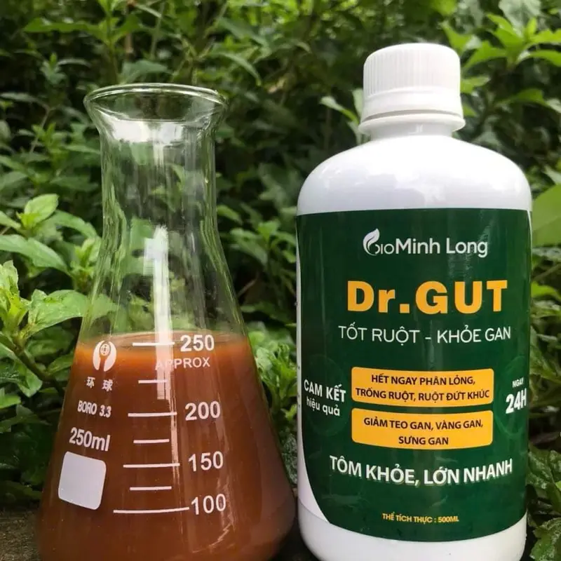 (MUA 5 tặng 2) DR.GUT- HẾT PHÂN TRẮNG, PHÂN LỎNG, PHÂN NÁT, TRỐNG RUỘT, RUỘT ĐỨT KHÚC CHO TÔM- HIỆU QUẢ SAU 2 NGÀY 0