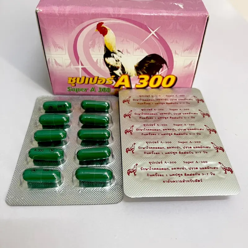 Tiêu Kén A300, Cho Gà Đá Gà Tre- Hàng Thái 1