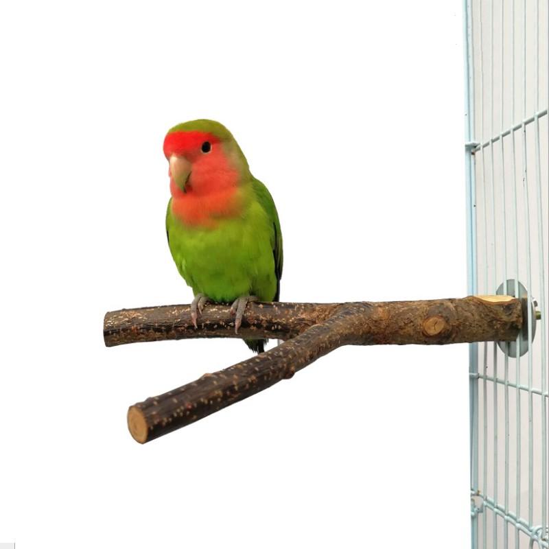 Product Introduction of Pet Parrot Raw Wood Fork Stand Rack Toy 1Pcs 15cm Branch Perches for Bird Hamster Cage Accessories Supplies Bird Playground 18