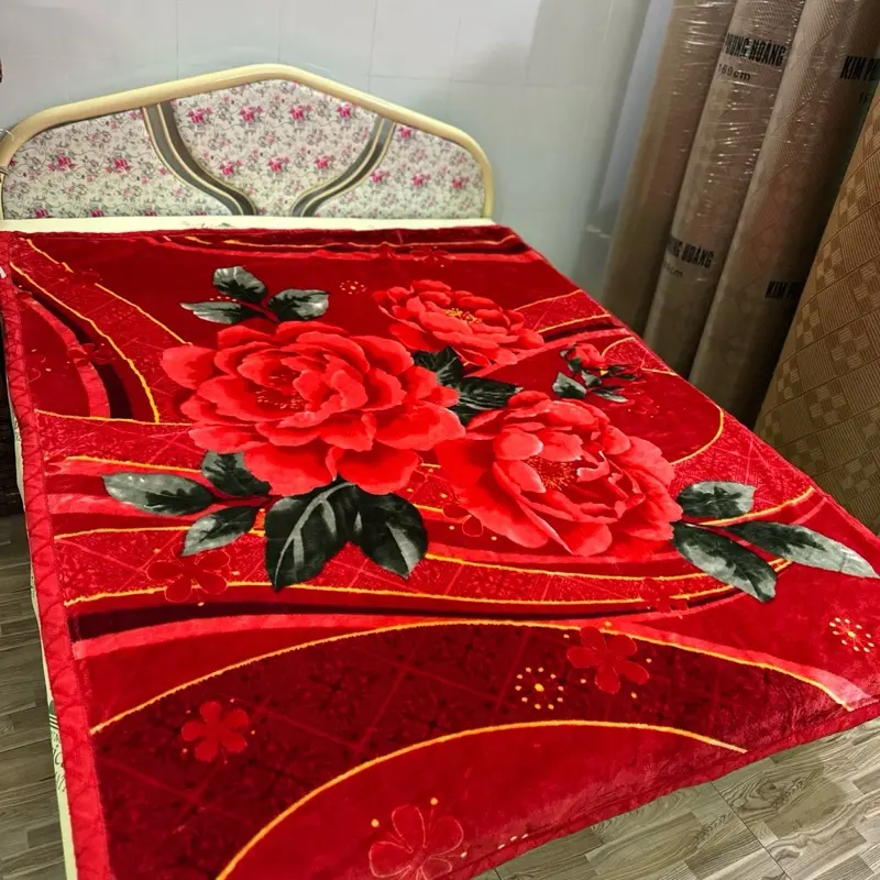 Mền nhung 2 lớp cân nặng 1.7kg 1m6_2m( hợp với thời tiết ở miền Nam)  ̂́ 〈 <〈diamond blanket-light gray vương miệng tím mềm mại chăn  nhung lông vắt  đ̃ làm mát he hoa octopus phao 2