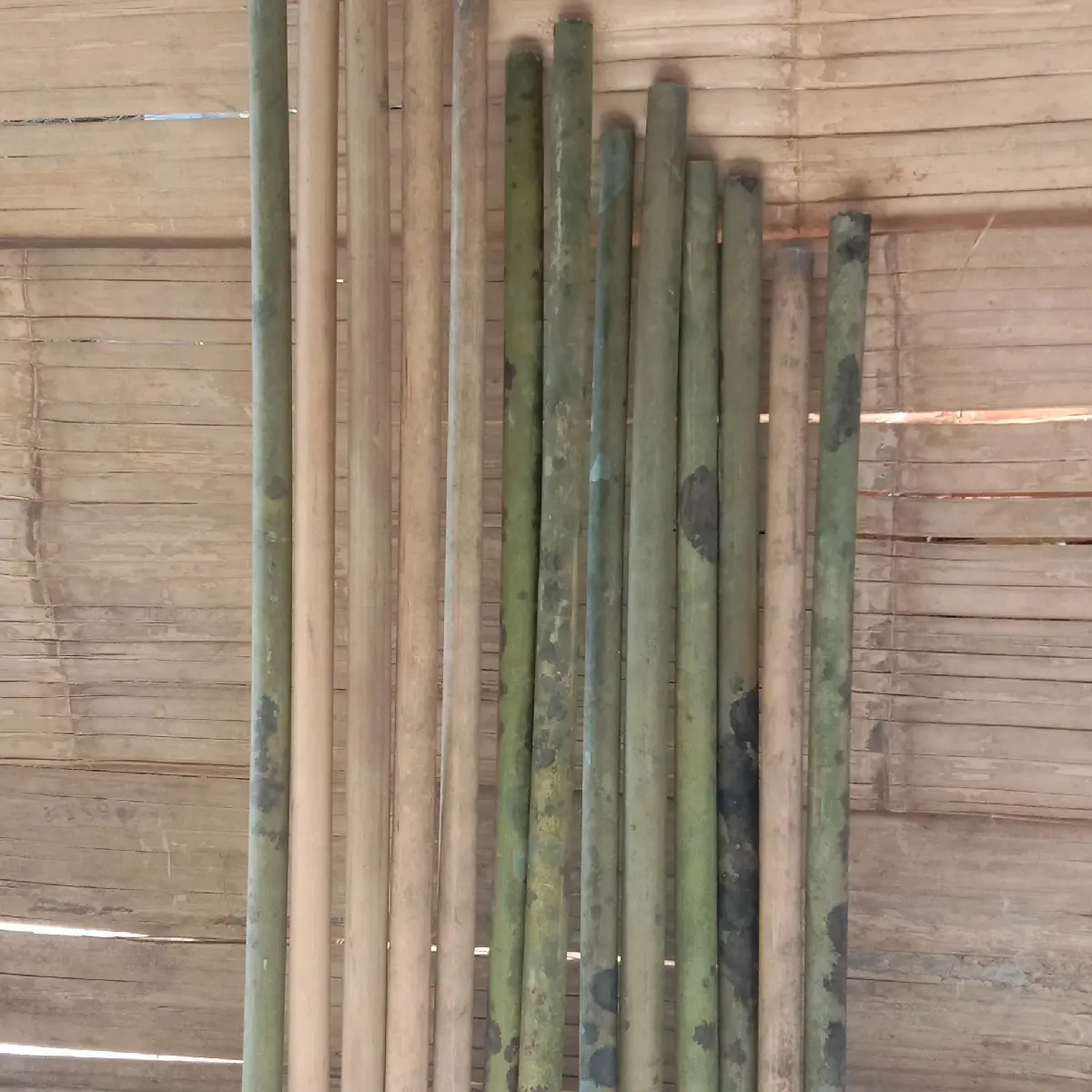 bambu tamiang bisa bikin suling/layangan/sumpit/musik angklung. 4batang per ruas