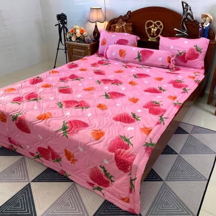 Bộ ga thun Hàn quốc mẫu dâu 2