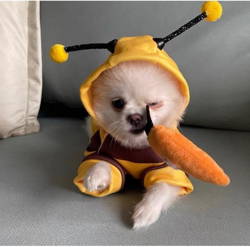 Product Introduction of Quần áo Giáng sinh cho thú cưng Quần áo biến hình cho chó Áo hoodie cho mèo Trang phục dự tiệc vui nhộn cho thú cưng trong kỳ nghỉ 20