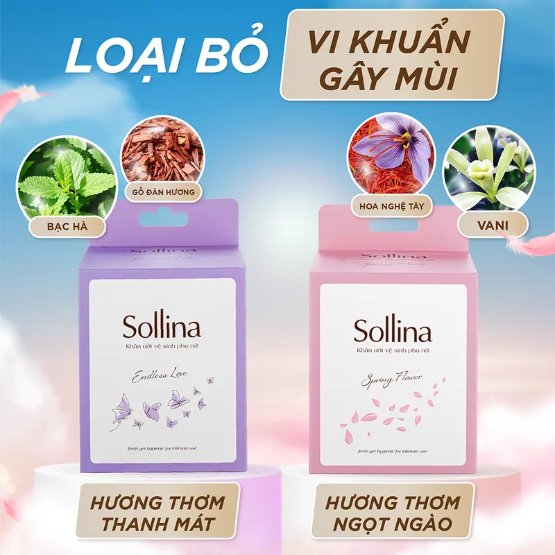Hộp 20 gói khăn giấy ướt vệ sinh phụ nữ Sollina độ ẩm vừa phải giúp vùng kín khô thoáng dễ chịu 20gói/ hộp Women 1