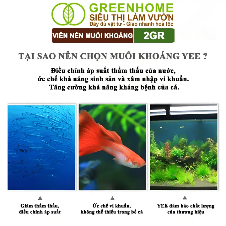 [Hàng tặng] Muối Khoáng Viên Nén Greenhome, YEE, Viên 2gr, Viên Ngẫu Nhiên 3