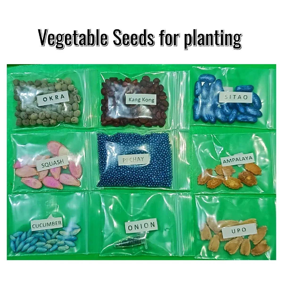 Vegtables.S.E.E.D.S Garden Different kinds, indoor and outdoor