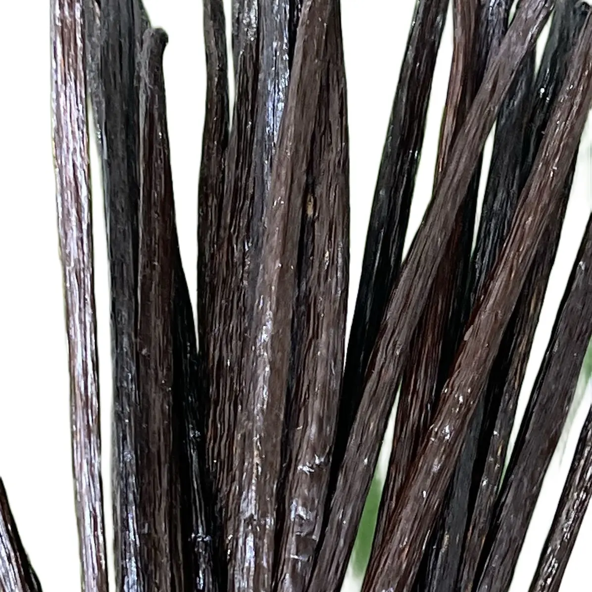 Quả vanilla nhập khẩu, gói 50gr gồm 10-16 quả, tạo hương vani cho kem, bánh kẹo và các thức uống