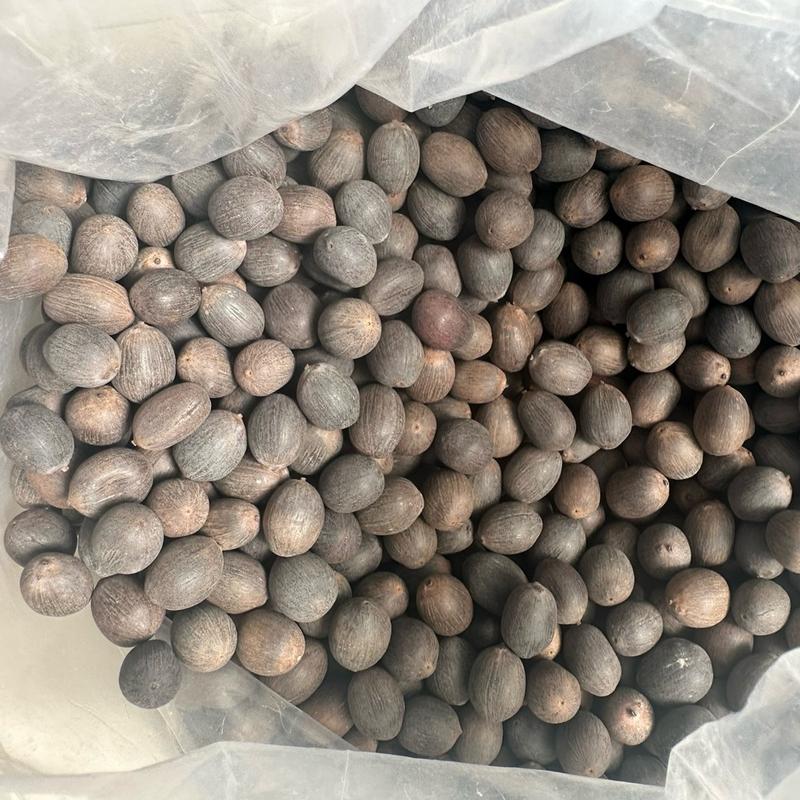 Hạt Sen Đen Nguyên Vỏ Đồng Tháp 2 Nắng Đồng Tháp-500g-Hạt Giống Sen Ta Thích Hợp Dùng Để Trồng 3