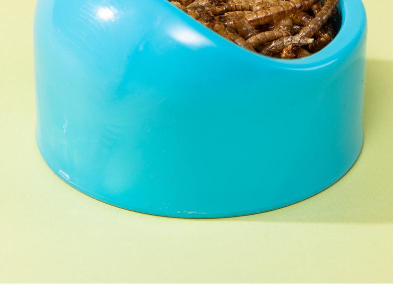 Product Introduction of Chậu Đựng Thức Ăn Cho Chuột Hamster, Hình Tròn, Làm Bằng Nhựa, Chống Rơi, Thích Hợp Cho Chuột Hamster Djungarian Và Hamster Màu Pastel, Thiết Kế Miệng Nghiêng, Bát Cho Thú Cưng, Dụng Cụ Cho Ăn 8