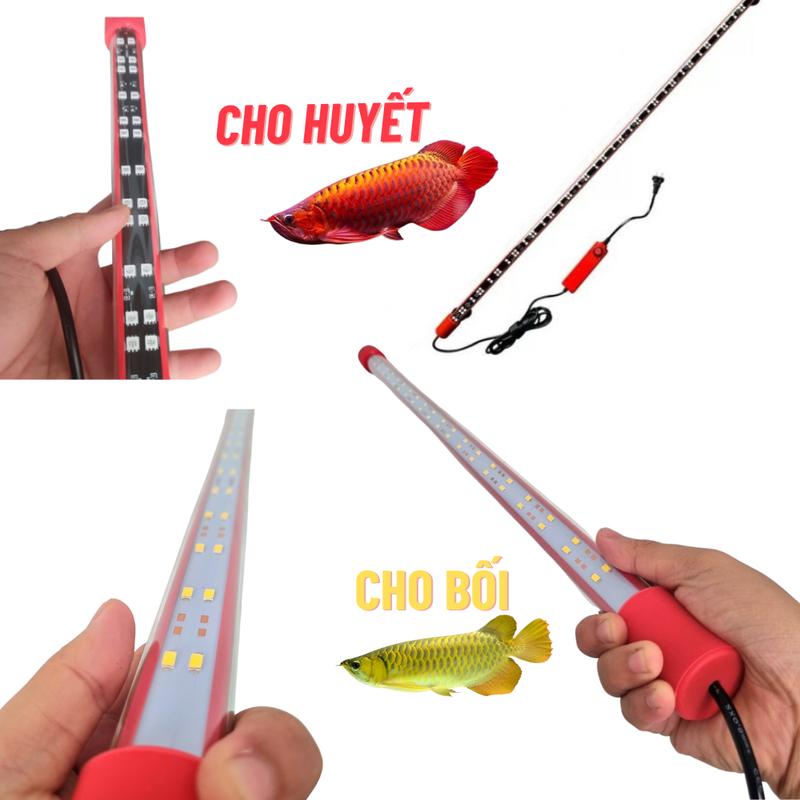 Đèn Bể Cá Đỏ cá không Đỏ nước , Vàng cá không vàng nước dành cho cá rồng huyết long , bối vàng kích thước từ 52cm Đến 142cm