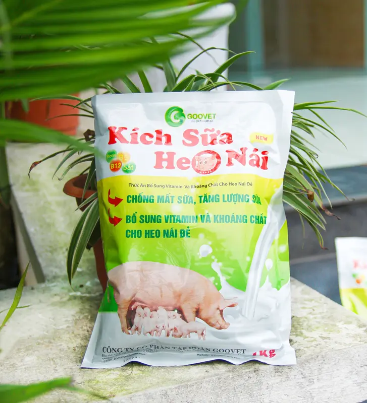 KÍCH SỮA HEO NÁI 1kg - C.h.ố.n.g mất sữa, tăng lượng sữa, bổ sung vitamin và khoáng chất cho heo nái đẻ. 4