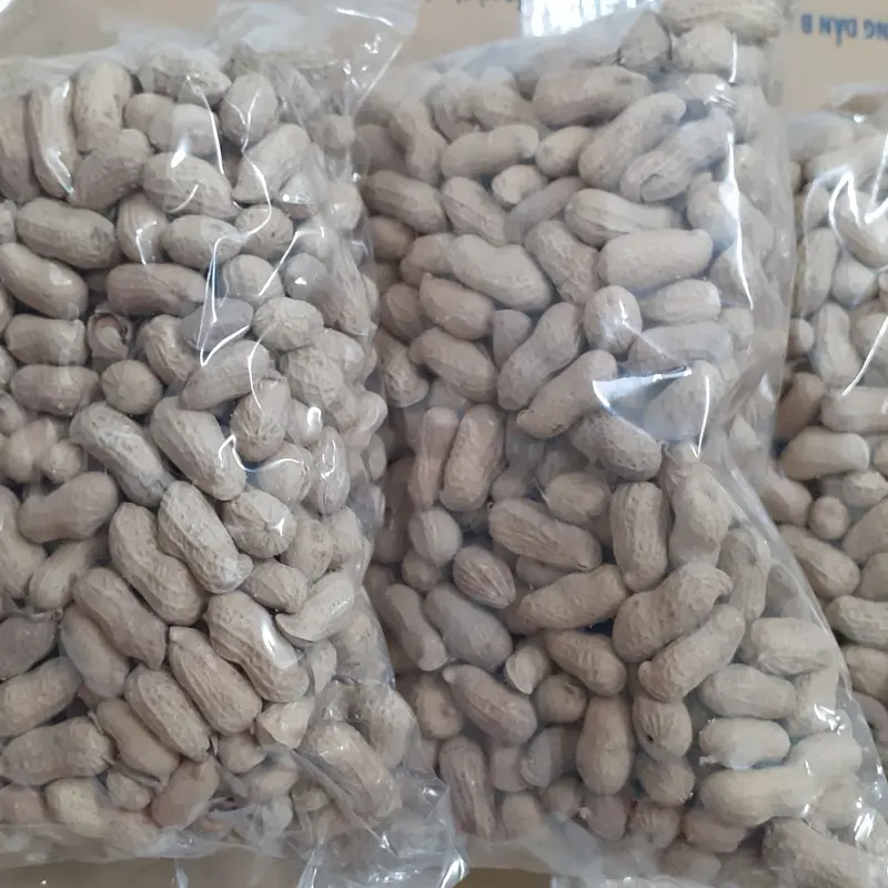 Đậu Phộng Rang Nguyên Vỏ Gói 450Gram ( Bịch 450G ) 1