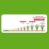 Gambar Cevya 100 ml - Fungisida UntukPenyakit Busuk Pelepah Bercak Daun Padi dari BASF Petani Sejahtera Kota Tangerang 5 Tokopedia