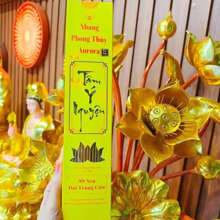 Nụ Xông Vạn Tâm Sen - AURORA 4