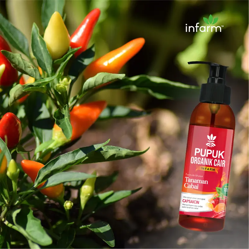 Infarm Pupuk Orgnaik Cair Tanaman Cabai 100 Ml Pupuk Cabai Organik Pupuk Tanaman Organik 3