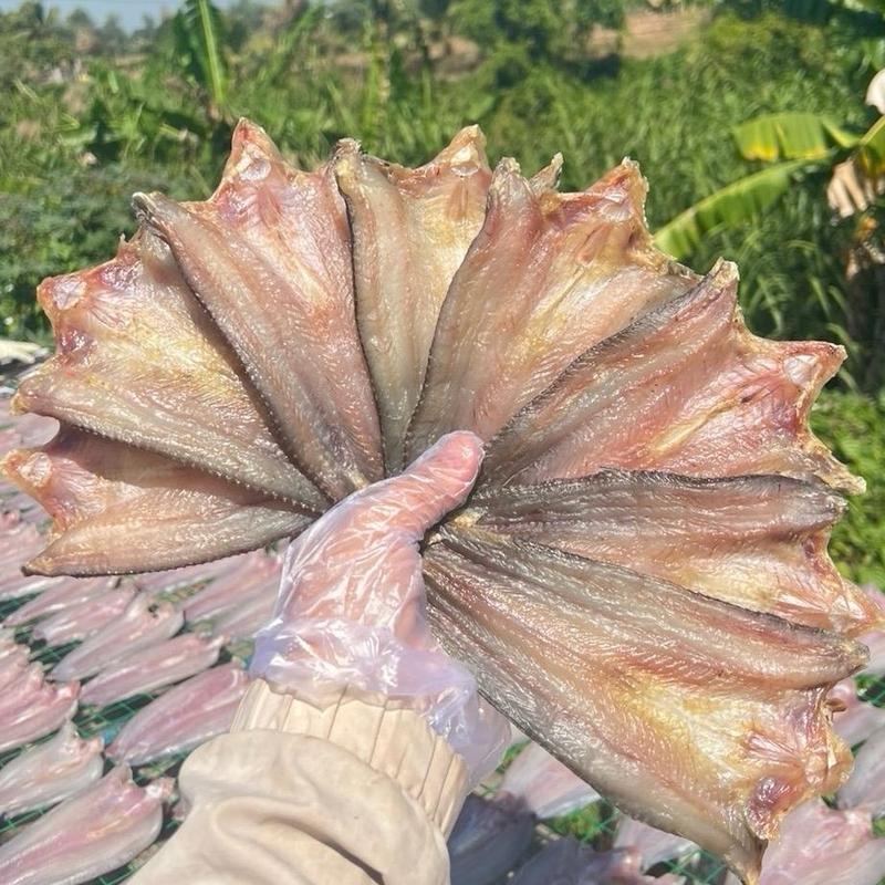  1KG KHÔ CÁ LÓC MIẾNG  15-25 con ĐẶC SẢN ĐỒNG THÁP. 