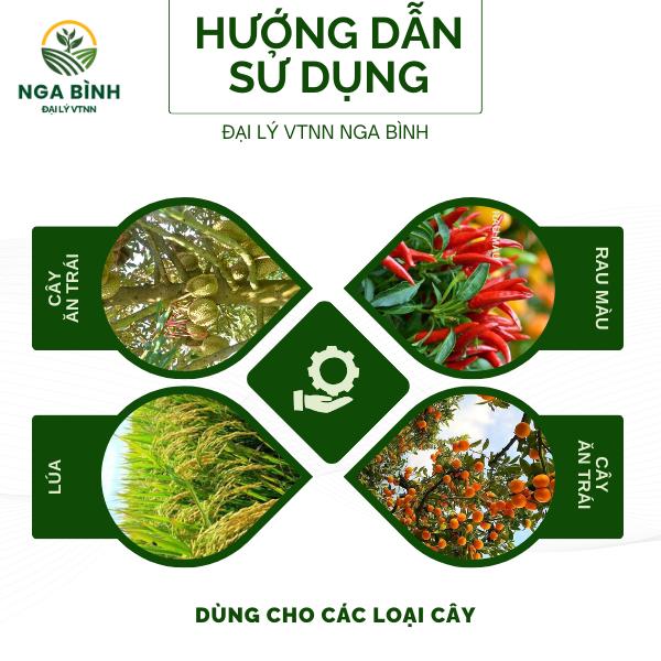 Phân bón lá LÂN 86 - Phát triển rễ, xanh lá, mướt cây 1KG 3