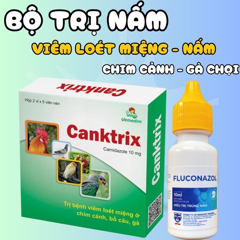 1 lọ fluconazol và 2 viên canktrix trị nấm họng, loét miệng, đẹn miệng siêu hiệu quả cho chim cảnh, gà đá