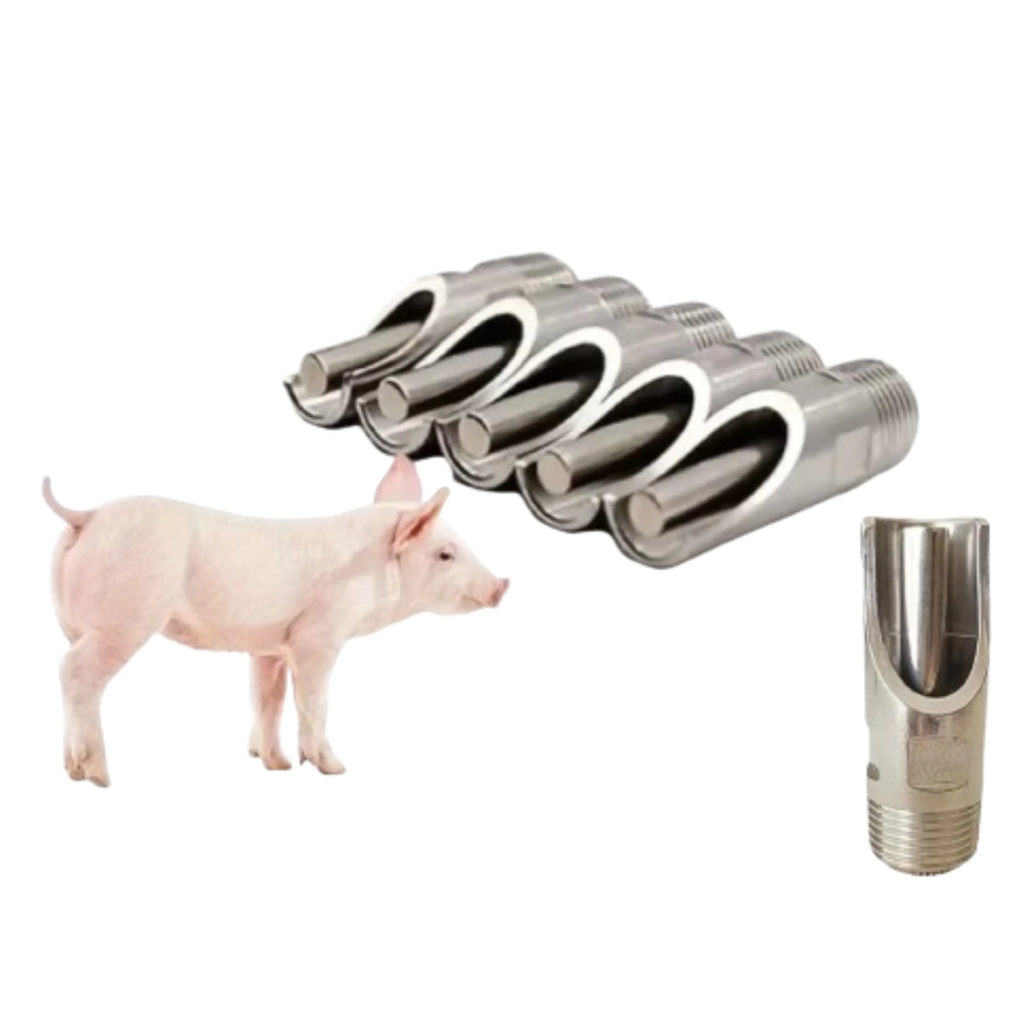 5Pcs Pig Drinker Stainless Heavy Duty Nipple Drinker For Piglet Inuman Ng Baboy
