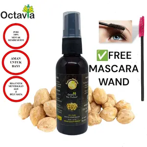 Minyak Kemiri Bakar Octavia Alami Penumbuh & Penebal Penghitam Rambut Bayi Dewasa Bulu Alis Brewok