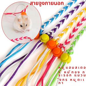 สายจูงหนูแฮมสเตอร์ สายจูงหนูแฮมสเตอร์พร้อมกระดิ่ง สำหรับหนูแฮมสเตอร์สีทอง กระต่าย หนูตะเภา กระรอก และสัตว์เลี้ยงขนาดเล็กอื่น ๆ สายรัดกลางแจ้ง flexi  leash