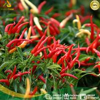 Gambar Pupuk NPK Mutiara SPRINTER 20-10-10 1kg Asli Pabrik  Pupuk Daun & Buah Berkualitas dari PUROTANI.ID Kab. Purworejo 5 Tokopedia