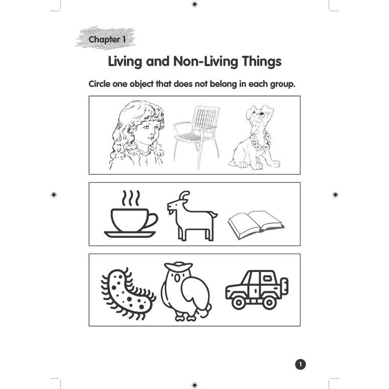 Product Introduction of High Quality Headstart Science Kindergarten 2 / Assessment Books 4