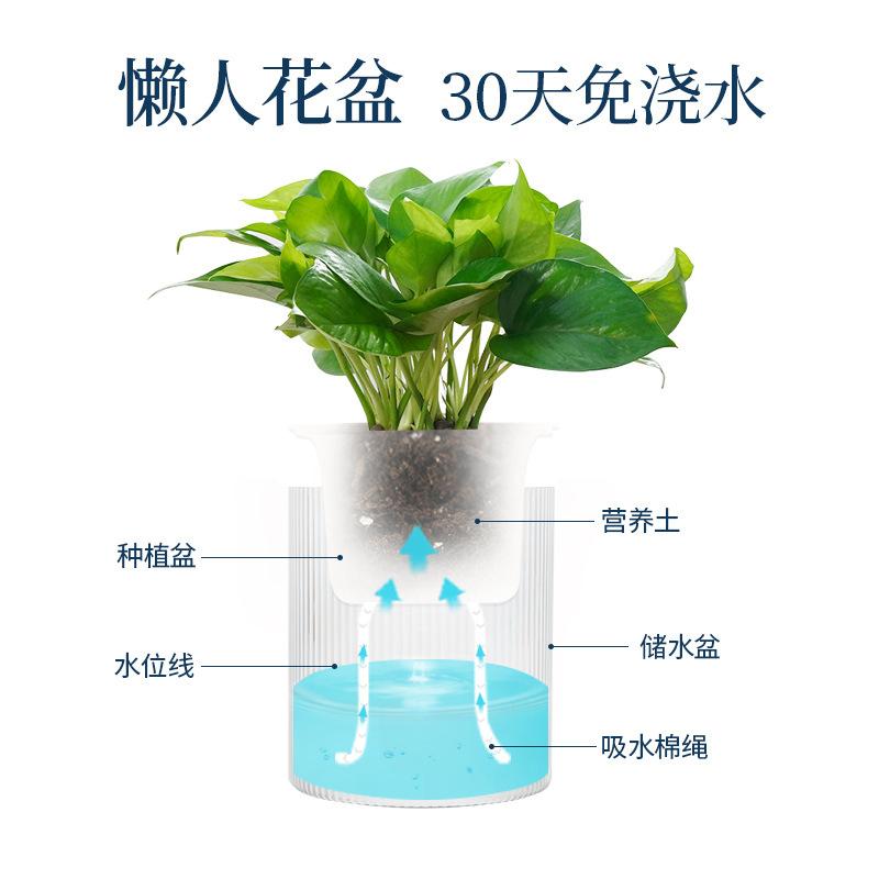 Product Introduction of High-auality Plant Self-watering Pot with Water Container Home Decoration Round Decorative FlowerPot and Planter for Garden 8