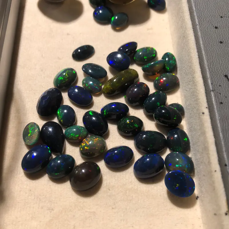 BN LIVE NATURAL BATU BLACK OPAL 0