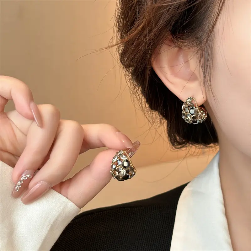 Silver Needle Rhinestone Black Crystal Earrings for Women New Special Interest Light Luxury High-Grade Earrings Refined Stylish and Versatile Earrings