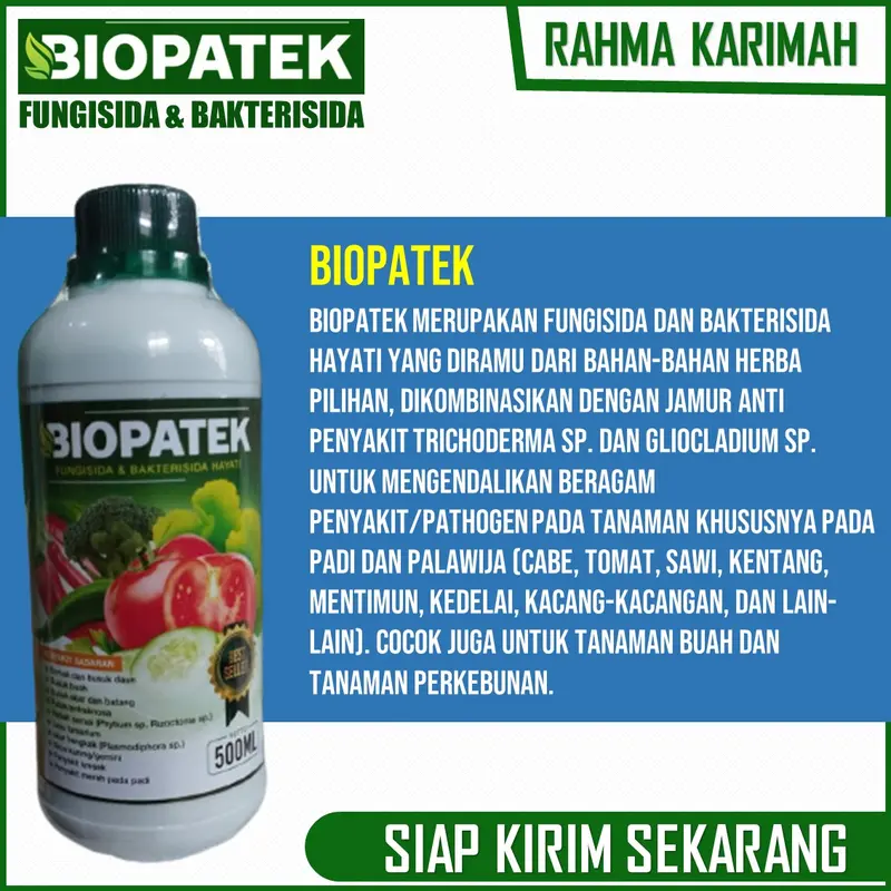 OBAT Layu Fusarium dan Layu Bakteri Cabe BIOPATEk 500 ML – Pupuk Organik Semprot Atasi Layu Buah, Daun dan Batang Cabe – Pupuk Semprot Atasi Layu Keriting Daun, Busuk Buah, Batang dan Busuk Akar Cabe – Pupuk Atasi Penyakit Tanaman Cabe 2