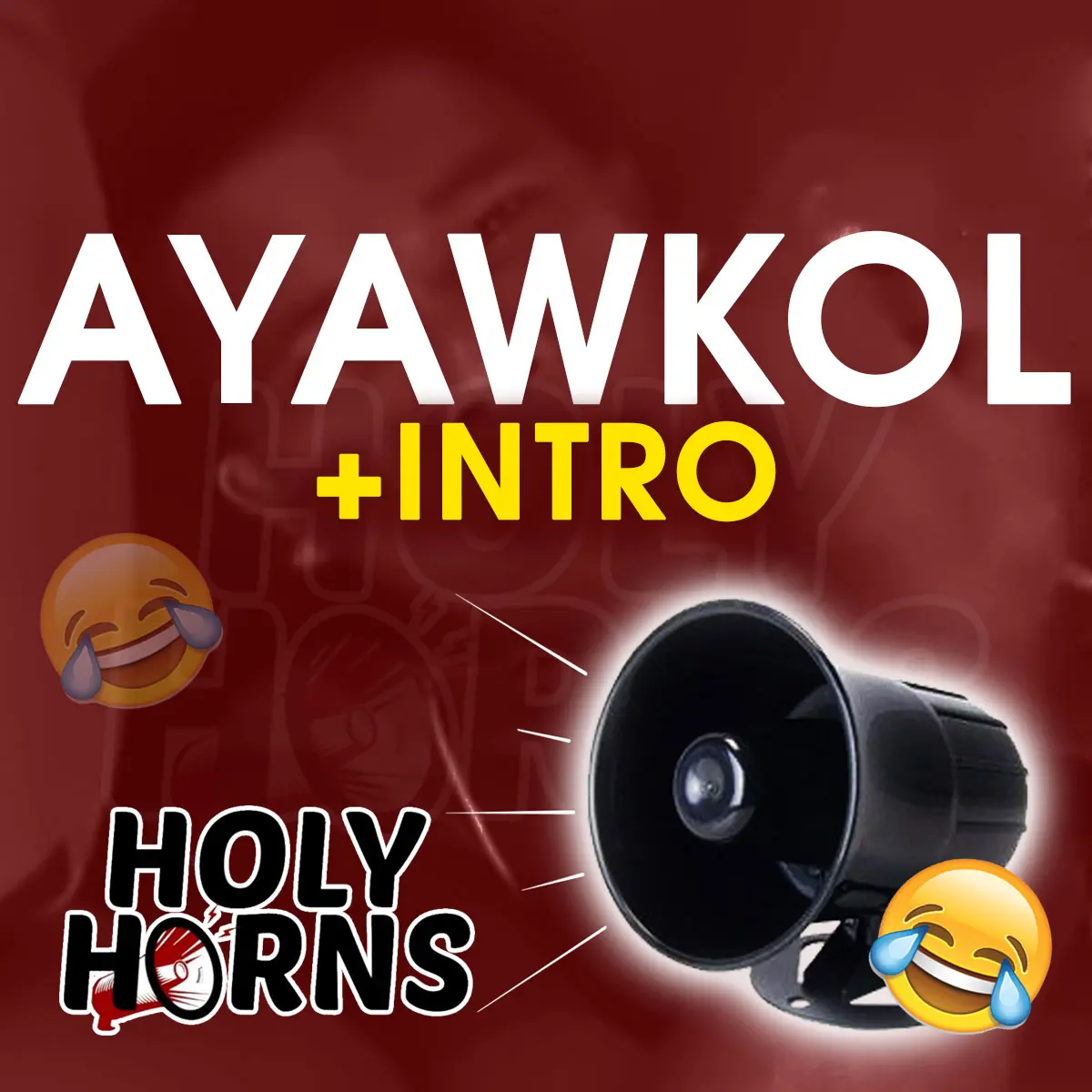 BACKHORN AYAWKOL + INTRO INNOVATIVE VOICE WARNING 12v-24v (for all vehicles)