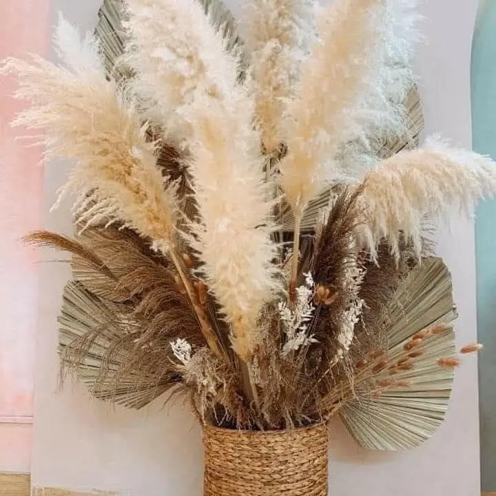 Combo 15 bông lau. Hoa lau. Bông cỏ lau. Trang trí. Decor.