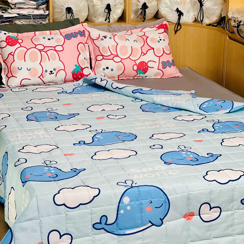 Chăn hè thu chần bông 2 lớp Cotton Poly 1m7x2m