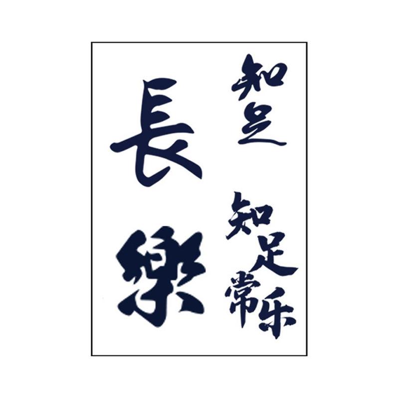 Empowering Chinese Phrases Temporary Tattoo Stickers 12 Weeks Longevity E2J0 3