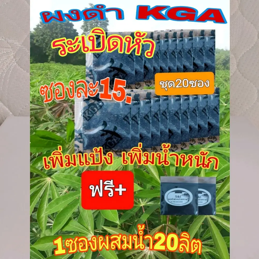 ผงดำน้ำดำ KGA (เป็นสารอินทรีย์จากธรรมชาติ