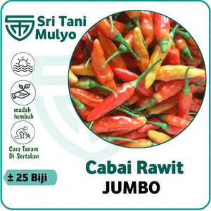 25 Biji - Benih Cabai Rawit JUMBO F1 - Bibit Sayuran Benih Sayuran - Cabe Merunduk Cabai Merah Sret