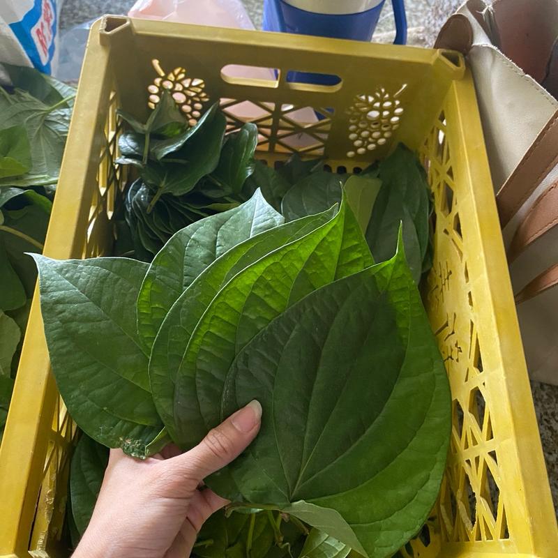 Lá Trầu Không Xanh  Đồng Nai - Xông Hơ Tắm Thiên Nhiên cho Mẹ và Bé 3