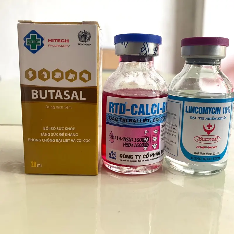 Bộ bại liệt gà đá, yếu chân ( 1 lọ butasal, 1 lọ canxi b12 và 1 lọ lincomycin 10%) 3