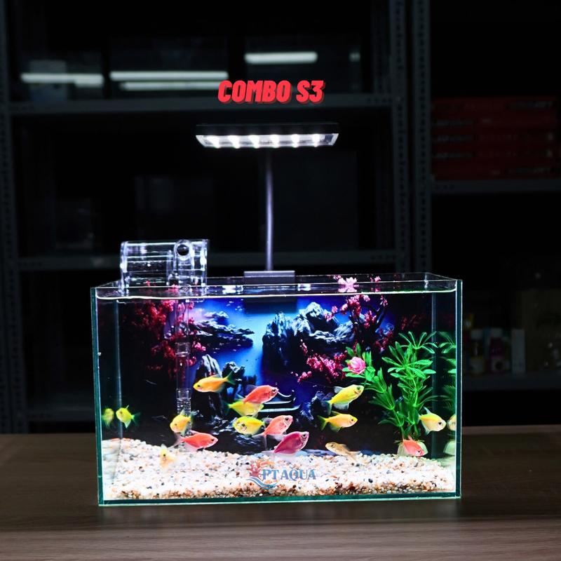 Bể Cá Mini Để Bàn Có Tranh Dán Kích Thước 30x15x18cm Phù Hợp Nuôi Cá Cảnh Mini Để Bàn